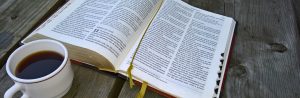 Bijbelkring volwassenen - boek Romeinen @ Vergadering van Gelovigen Nieuwlande